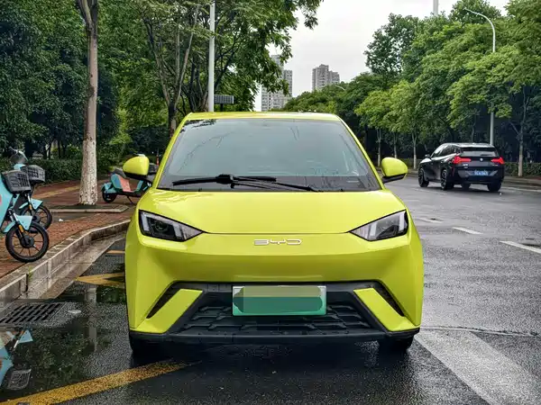 BYD Seagull 2024
