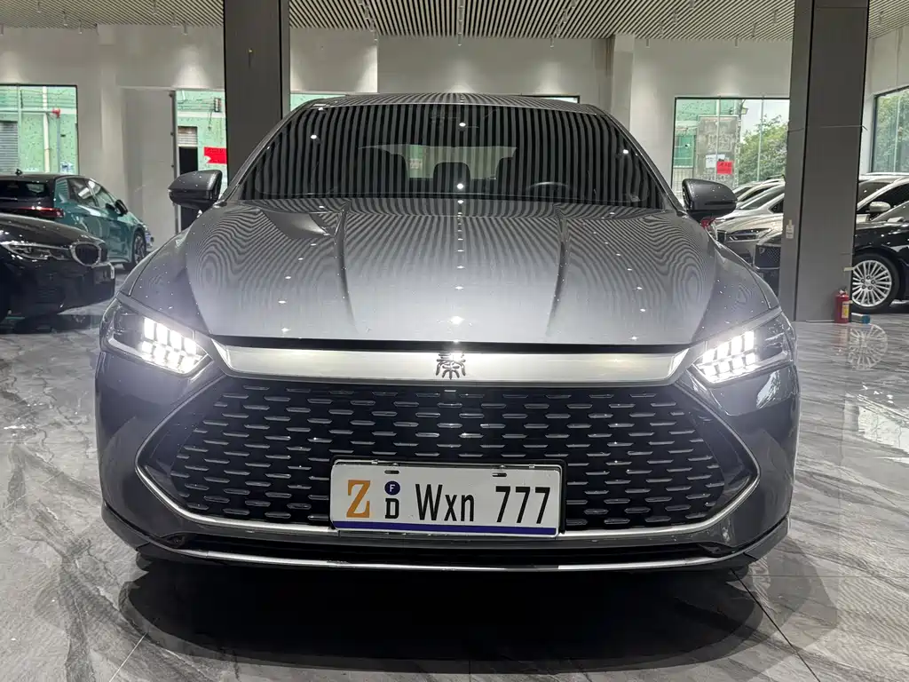 BYD Qin PLUS 2024 — фото 2