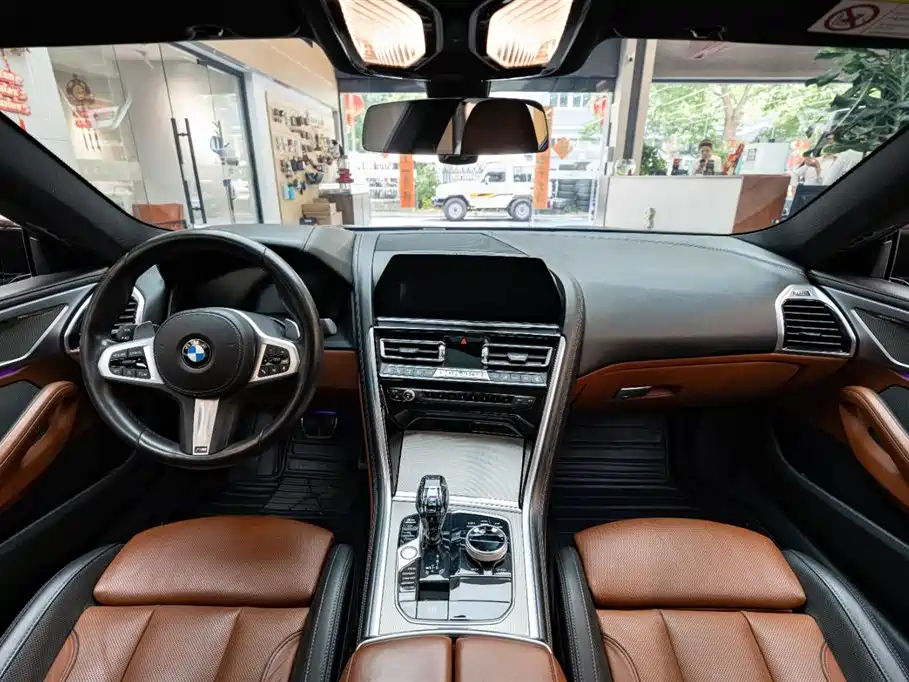 BMW 8 Series 2019 — фото 8