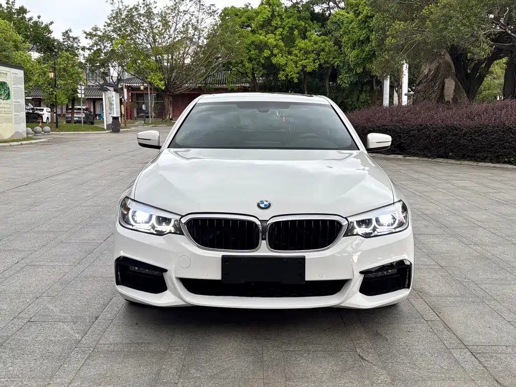 BMW 5 Series 2019