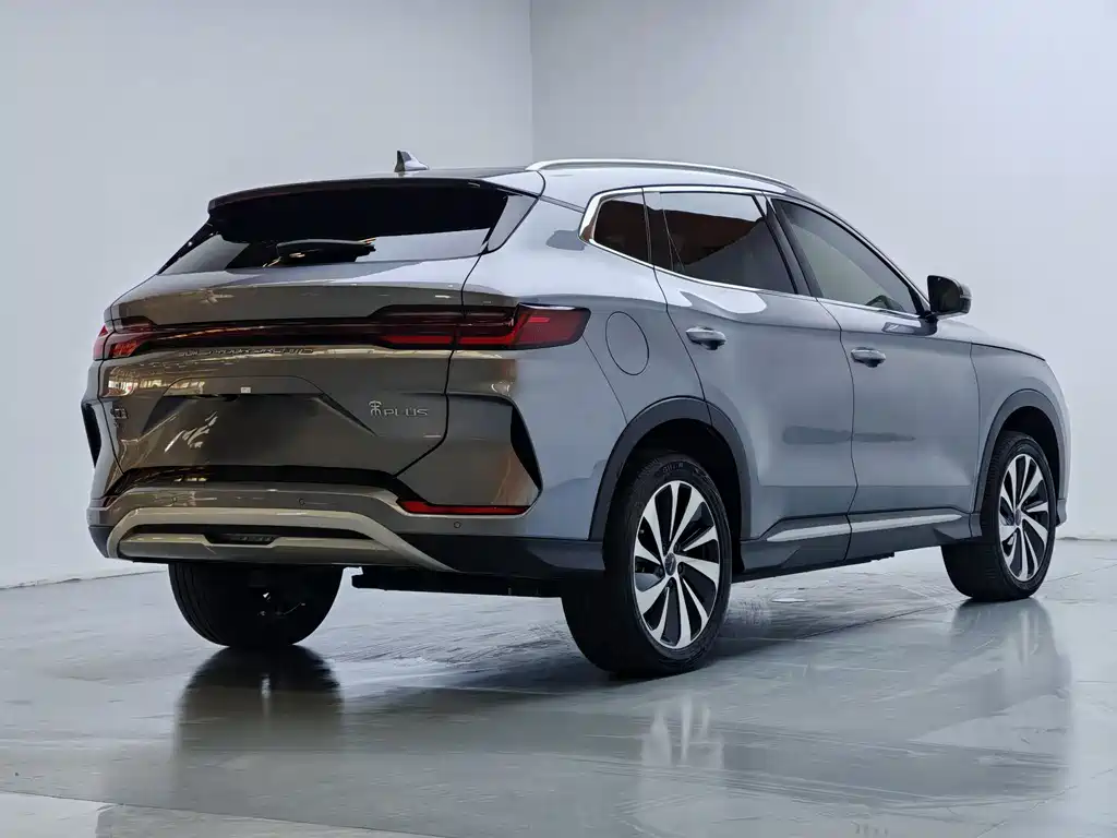 BYD PLUS New Energy 2024 — фото 13