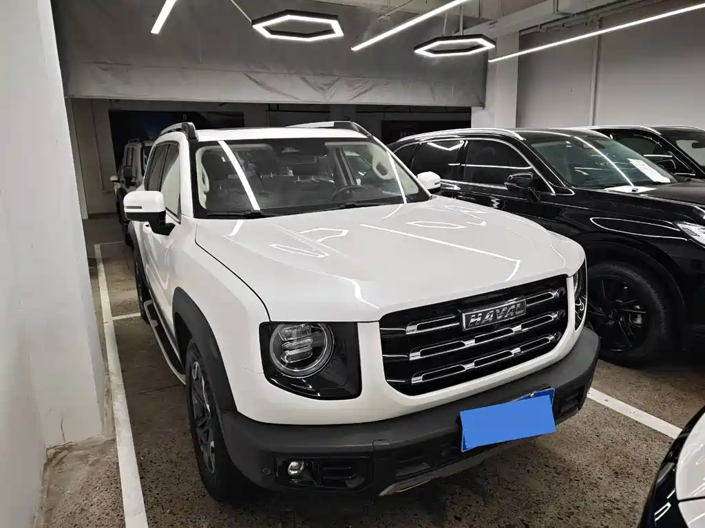 Haval Big Dog 2021