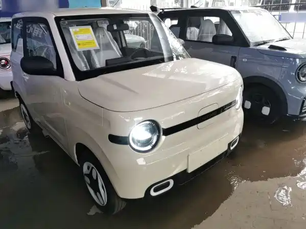 Geely Galaxy Panda 2026