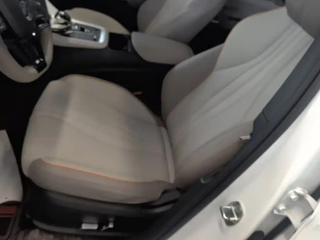 BYD Song Pro New Energy 2024 — фото 15