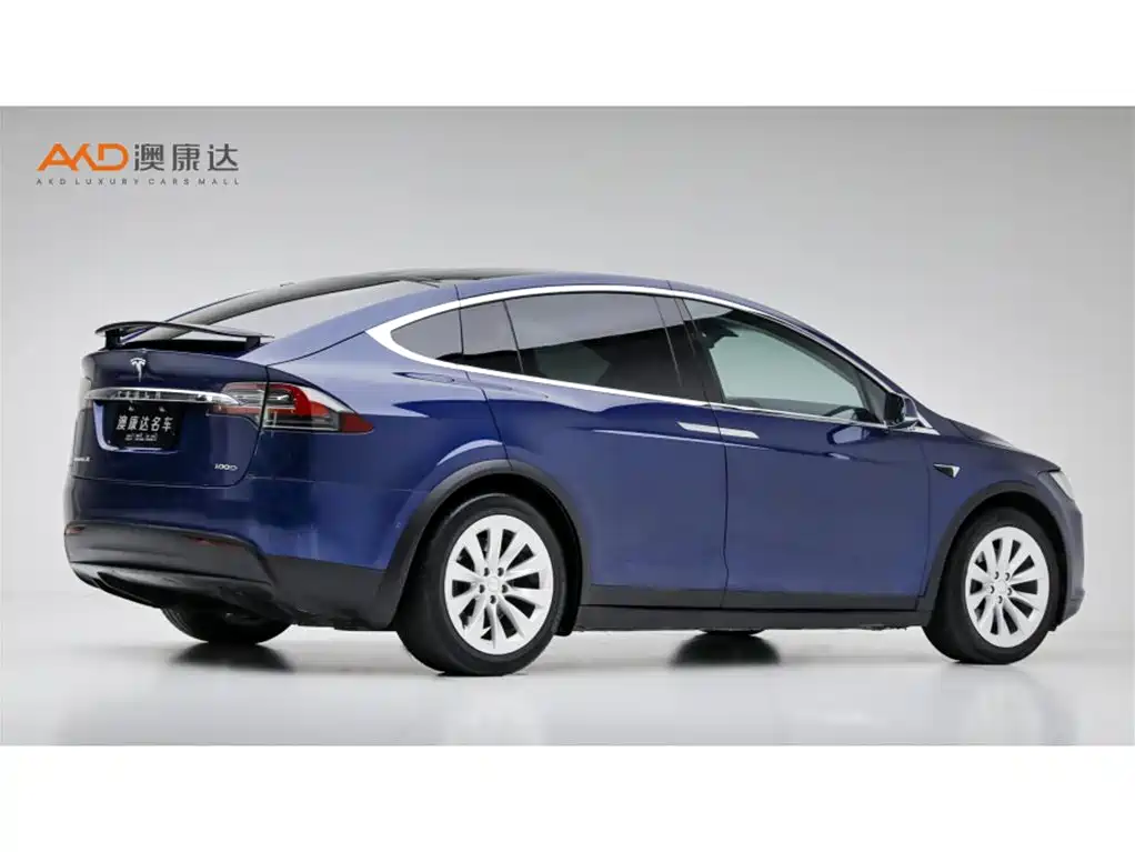Tesla Model X 2019 — фото 3