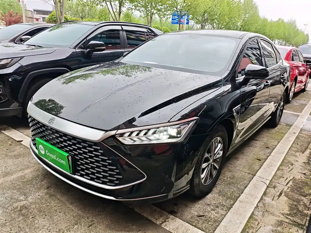 BYD Qin PLUS 2024 — фото 2