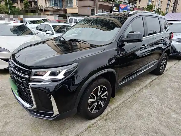 Dongfeng Fengxing T5 2024