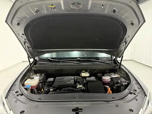 BYD Pro New Energy 2024 — фото 14