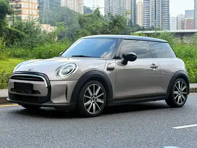 MINI MINI 2022