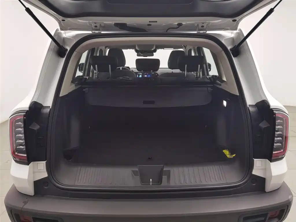 Haval Big Dog 2021 — фото 16