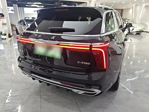 Hongqi E-HS9 2023