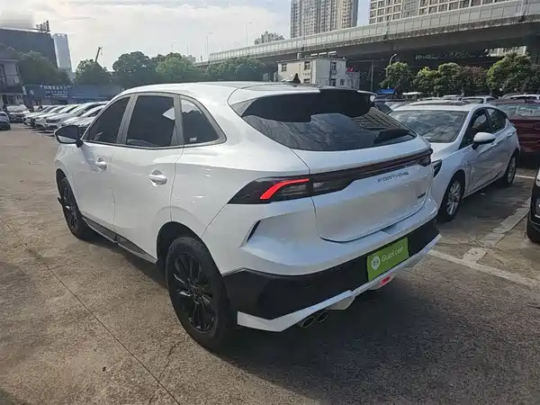 Dongfeng Fengxing T5 EVO 2024