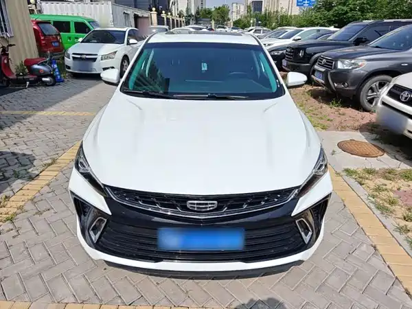Geely Binrui 2024