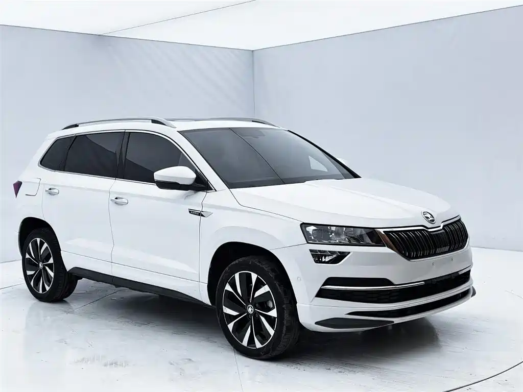Skoda Karoq 2022 — фото 3