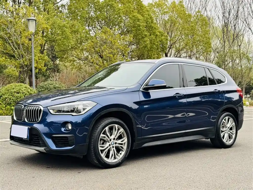 BMW X1 2019 — фото 2