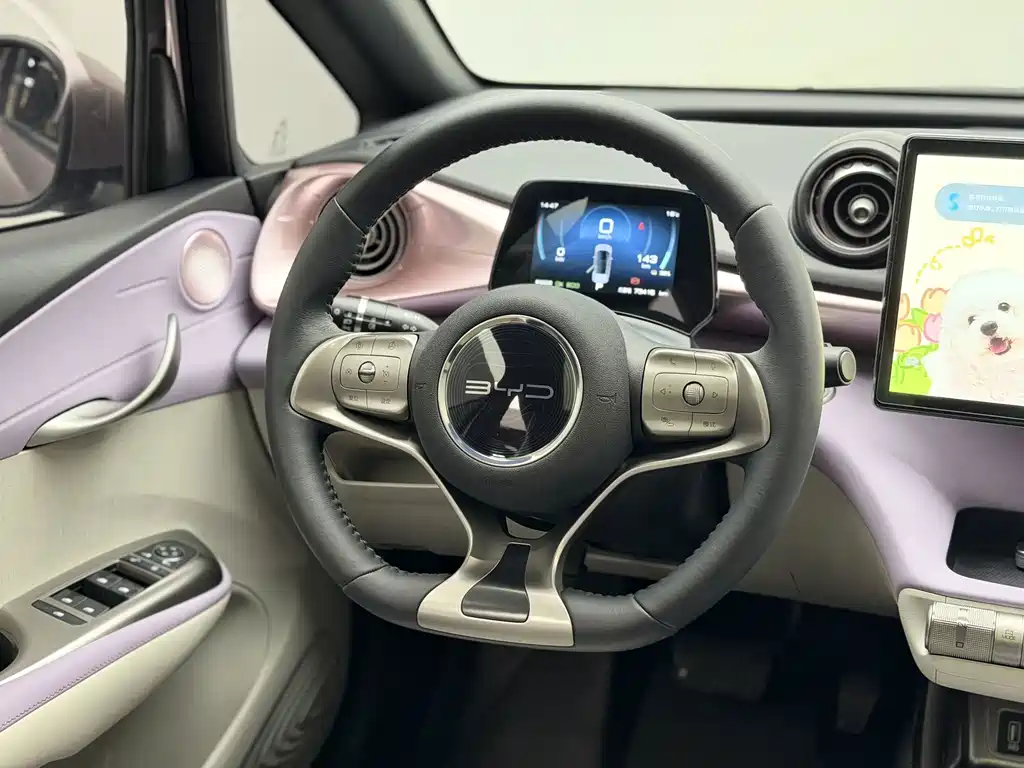 BYD Dolphin 2022 — фото 15