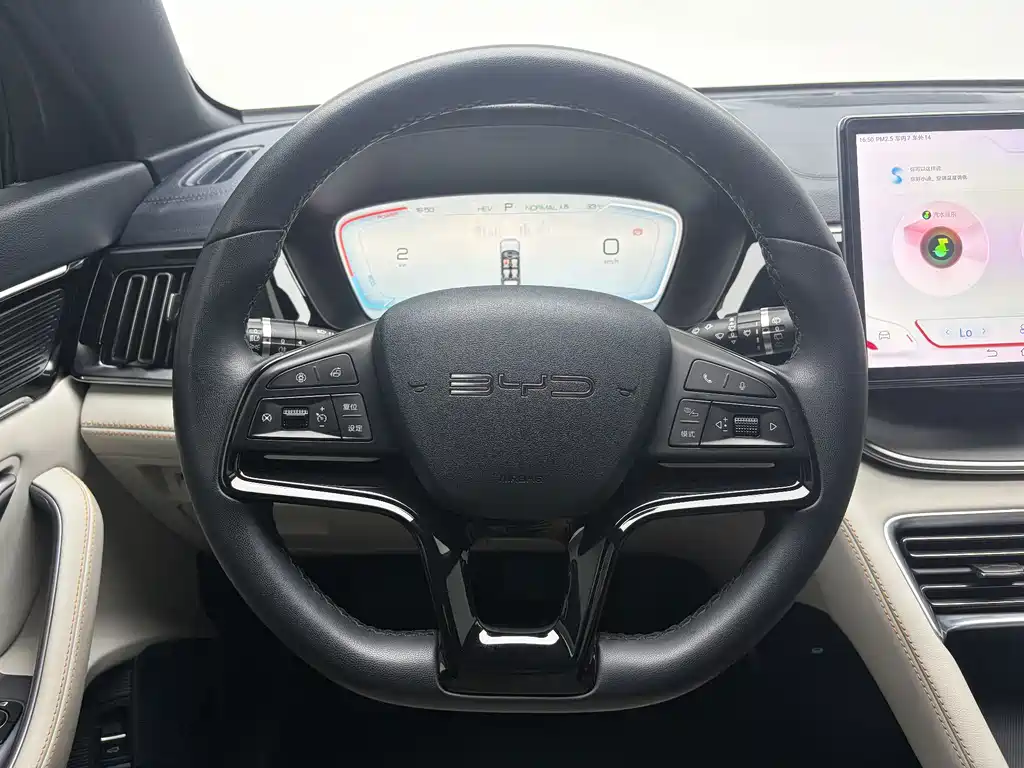 BYD Song PLUS New Energy 2024 — фото 15
