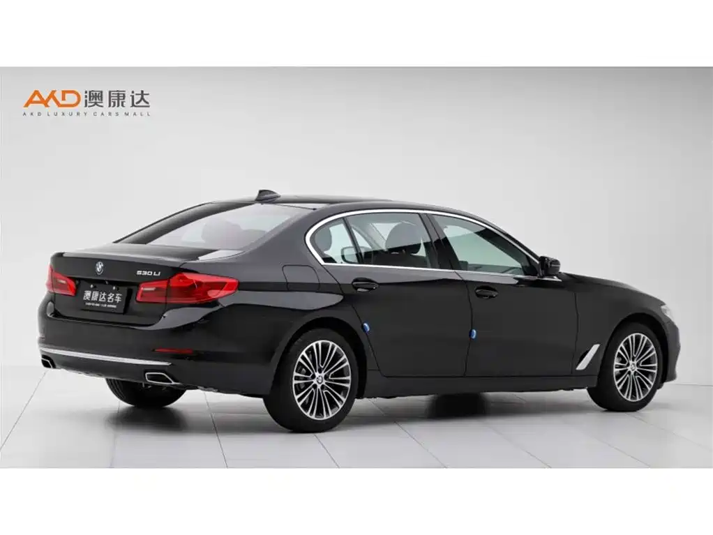 BMW 5 Series 2019