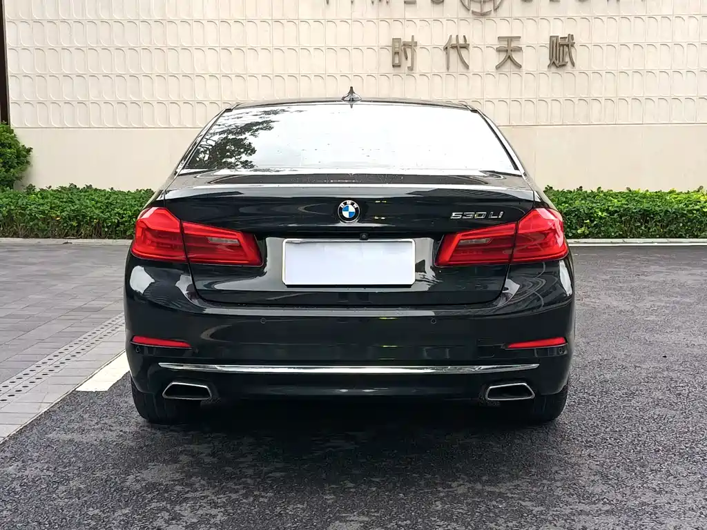 BMW 5 Series 2019