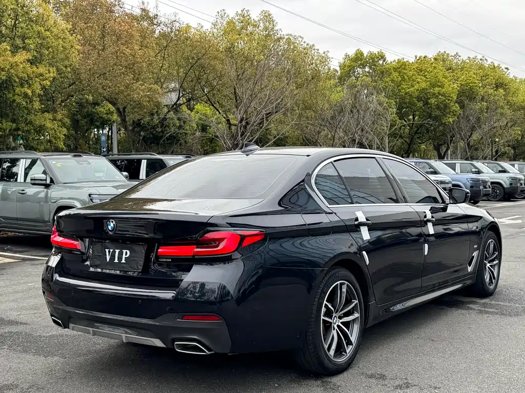BMW 5 Series 2020 — фото 16