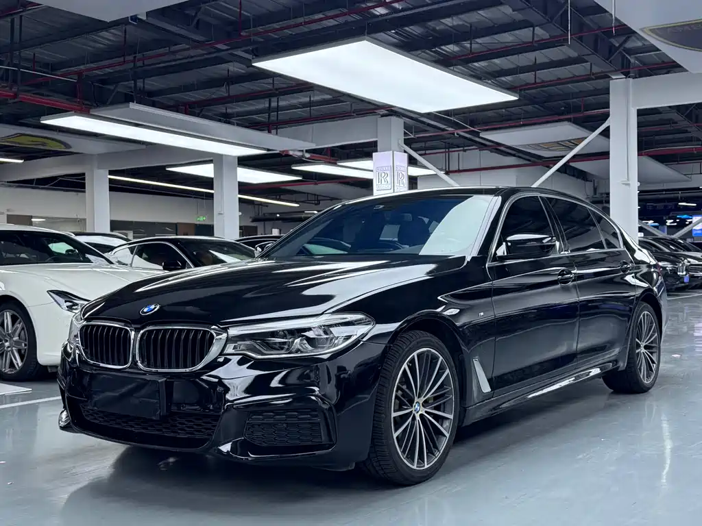 BMW 5 Series 2019