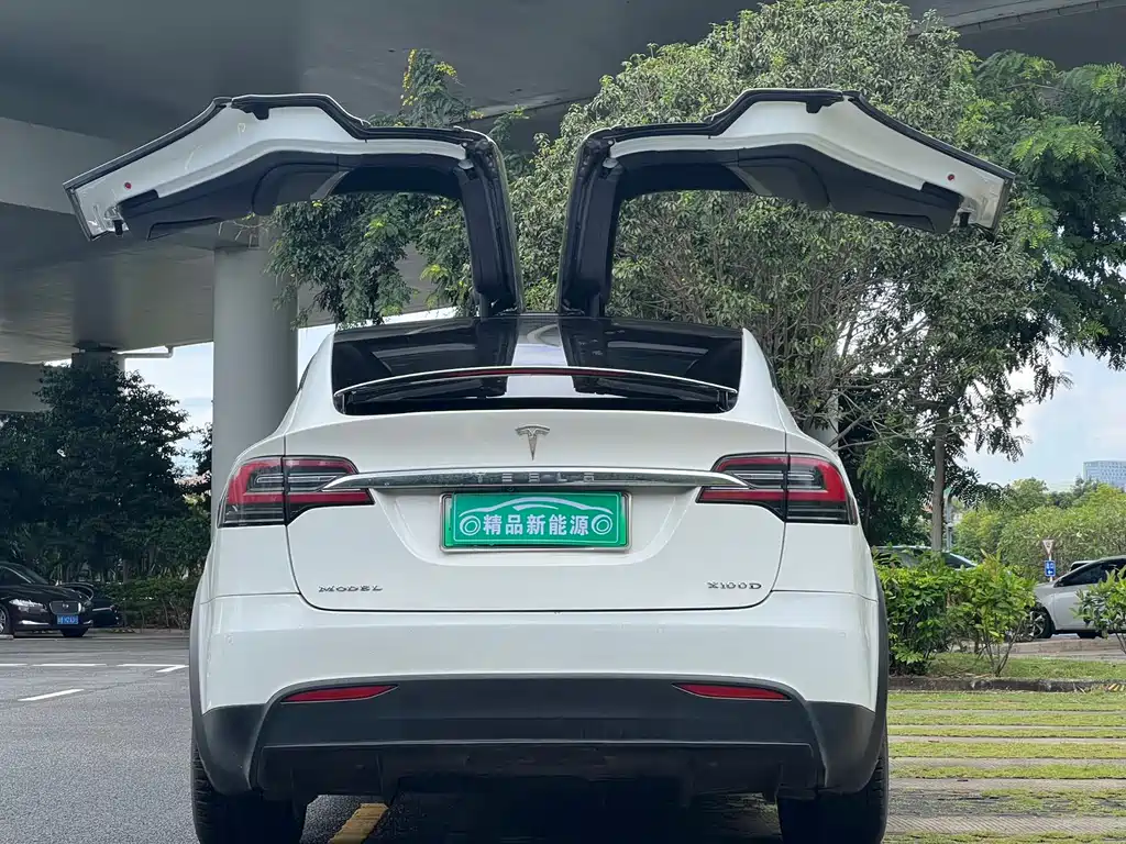 Tesla Model X 2018 — фото 12
