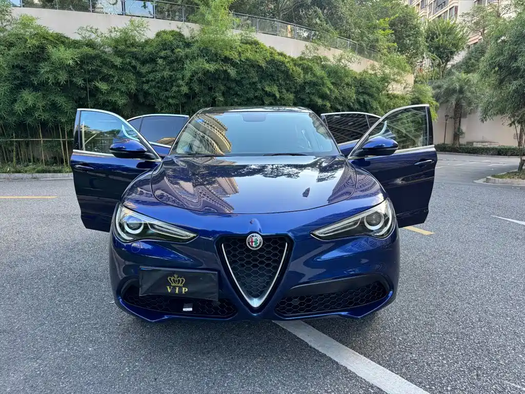 Alfa Romeo Stelvio 2019 — фото 9