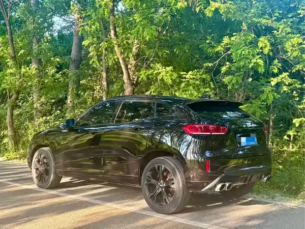 Wey VV7 2017