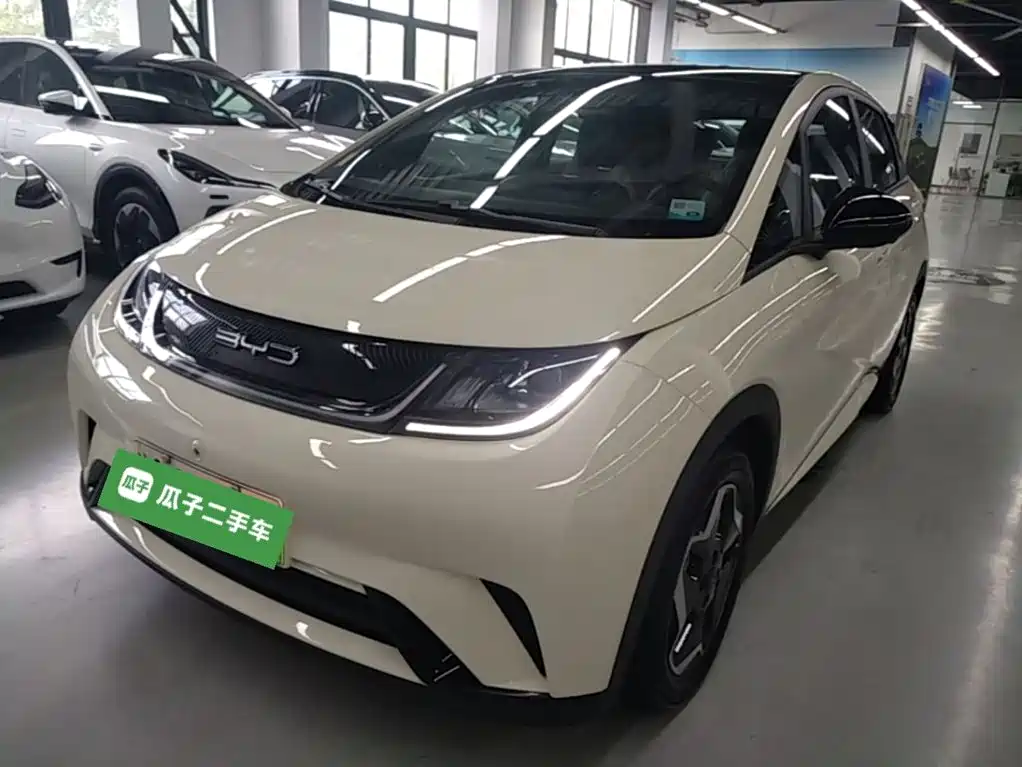 BYD Dolphin 2022