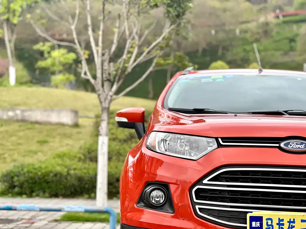 Ford Ecosport 2013 — фото 11