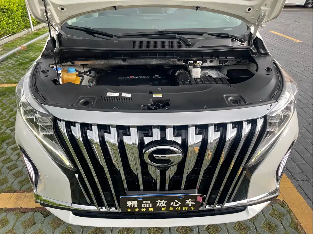 GAC Motor Trumpchi M8 2022 — фото 21