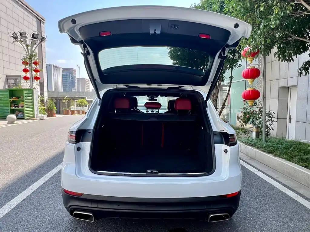 Porsche Cayenne 2020 — фото 11