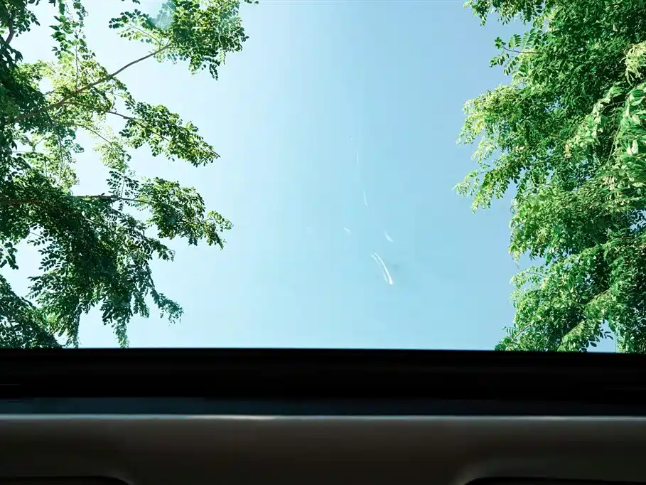 Honda Accord 2021 — фото 18
