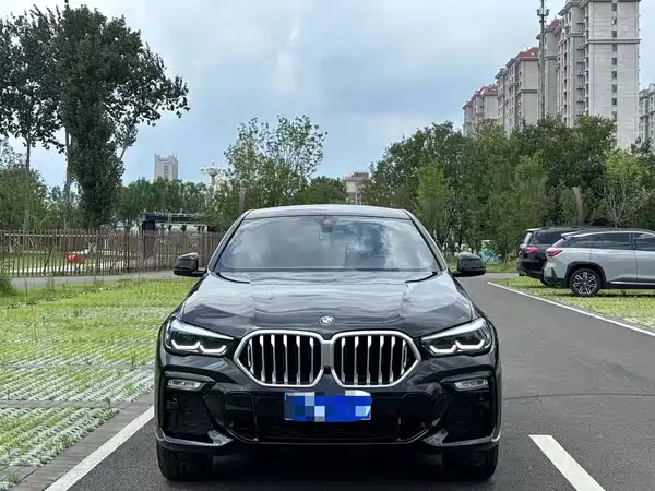 BMW X6 2020