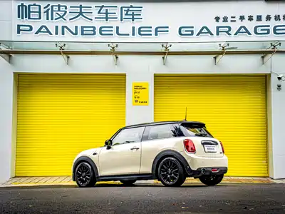 MINI MINI 2018