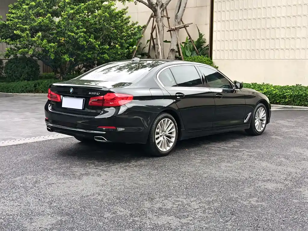 BMW 5 Series 2019