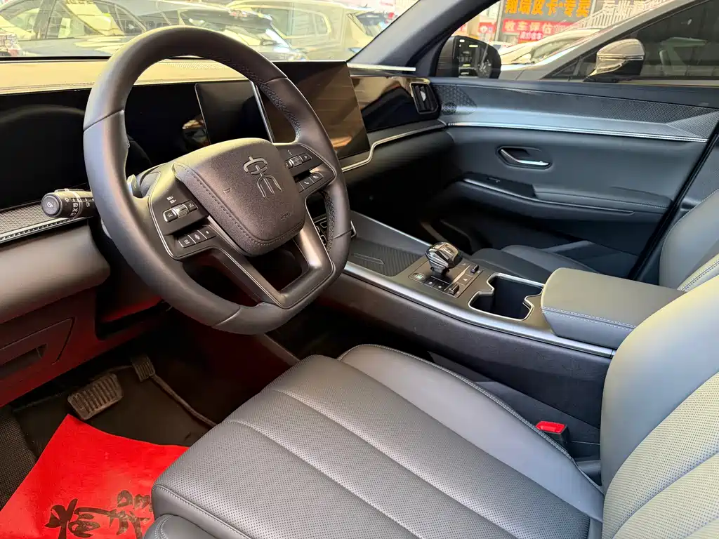 BYD Song Pro New Energy 2025 — фото 12