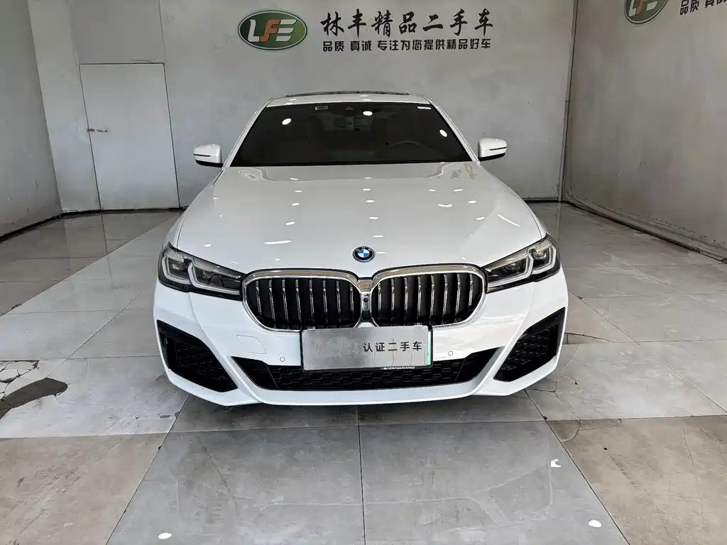 BMW 5 Series New Energy 2022