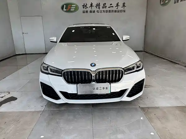 BMW 5 Series New Energy 2022