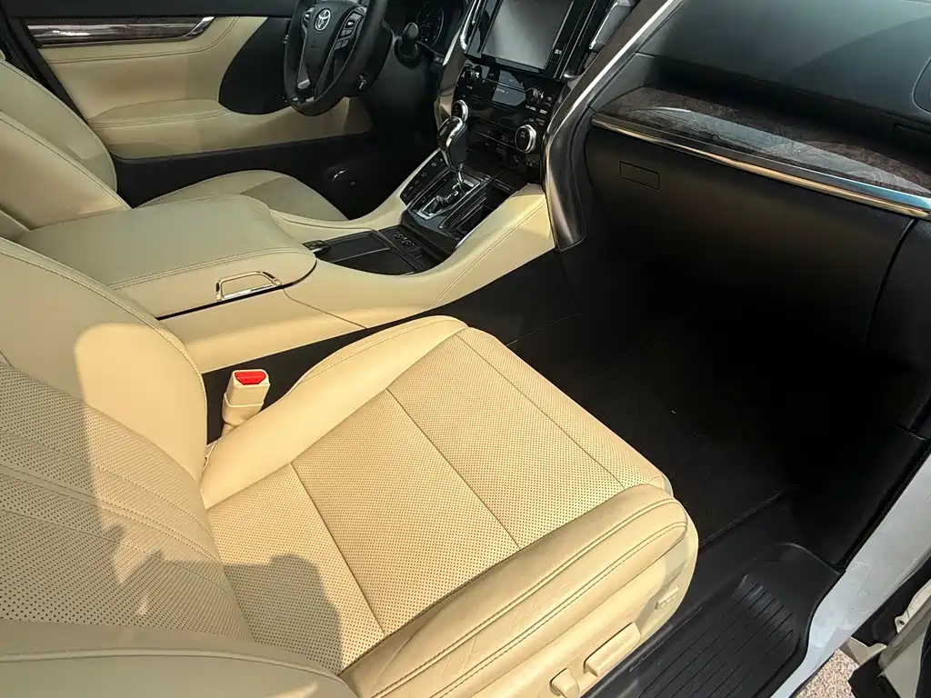Toyota Alphard 2019 — фото 11