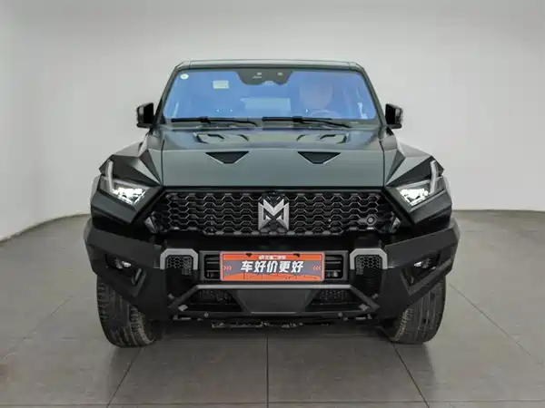 Mengshi 917 2023