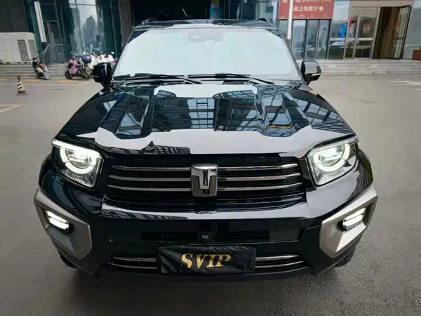 Tank 700 New Energy 2024