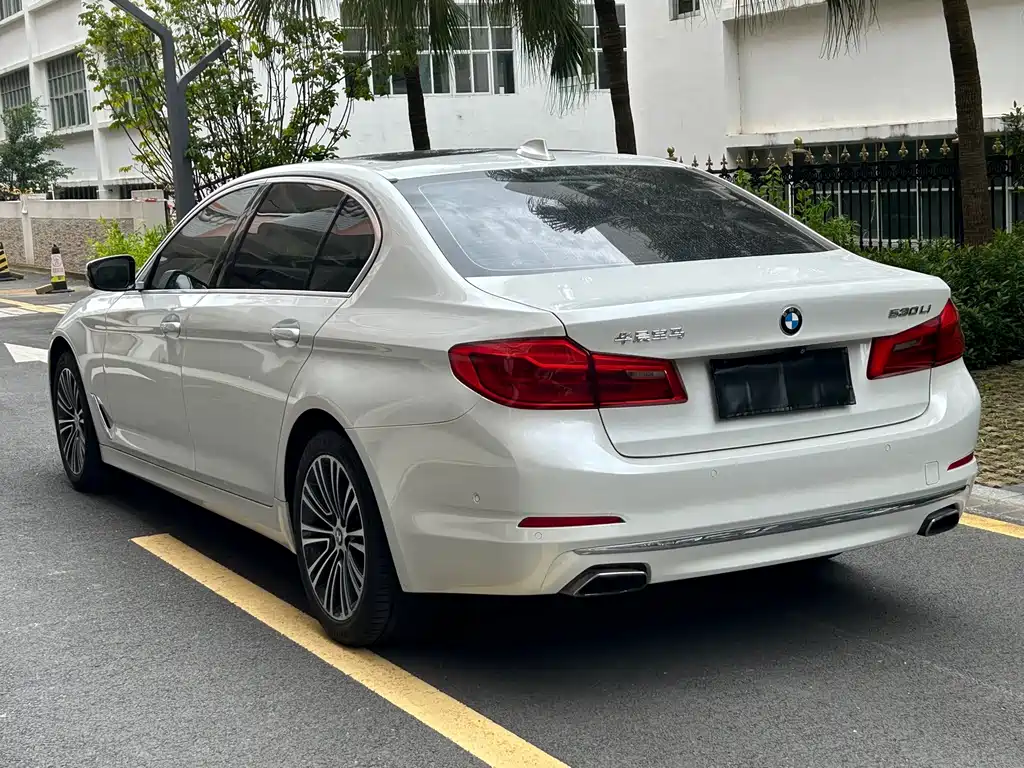 BMW 5 Series 2019