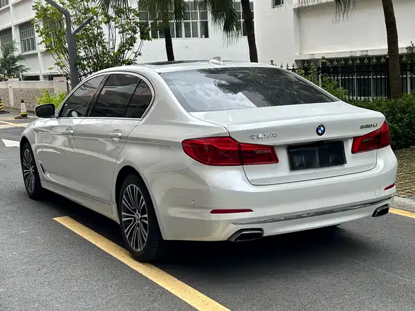 BMW 5 Series 2019