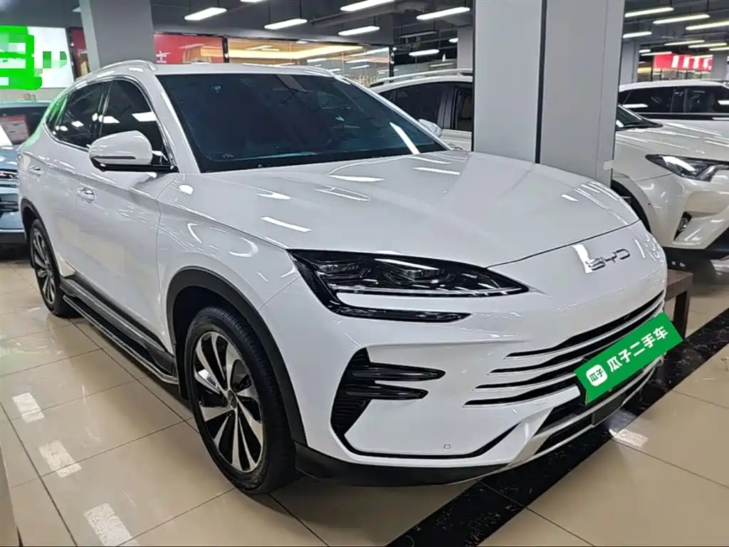 BYD PLUS New Energy 2023 — фото 4