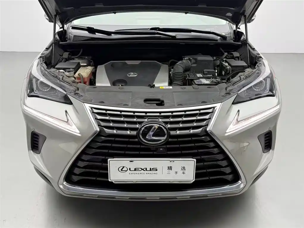 Lexus NX 2018