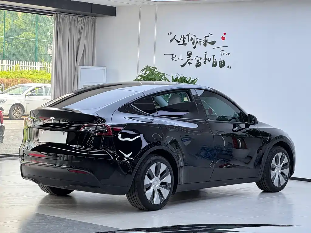 Tesla Model Y 2023 — фото 3