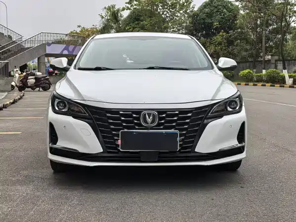 Changan Ruicheng CC 2022