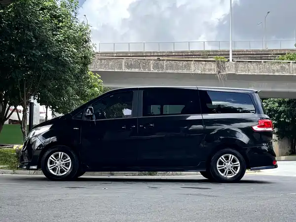 Maxus G10 2019