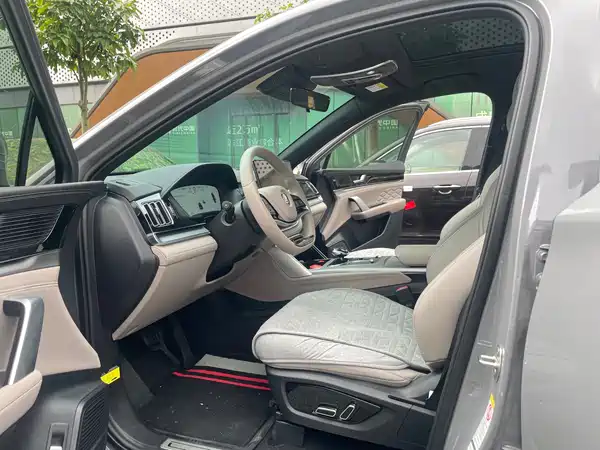 BYD Tang New Energy 2025